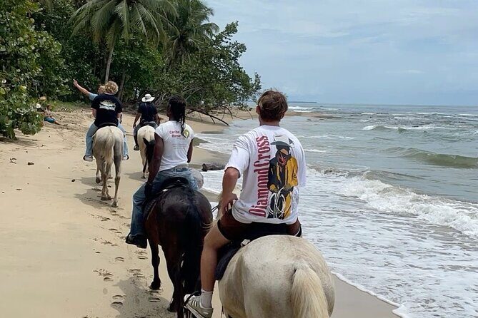Bali Beach Horse Riding combo with waterfall All Inclusive - Key Points