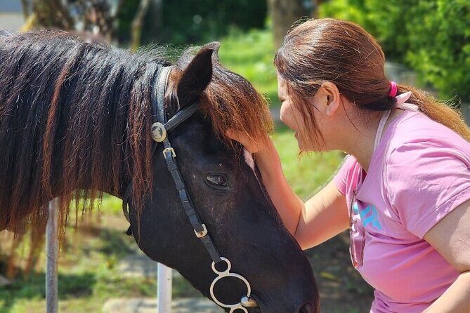 Bali Beach Horse Riding combo with waterfall All Inclusive - Who Will Love This Tour?