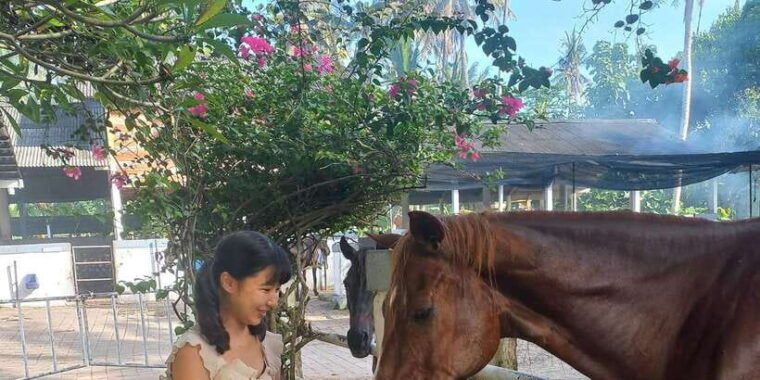 bali-beach-horse-riding-experience-hidden-waterfall
