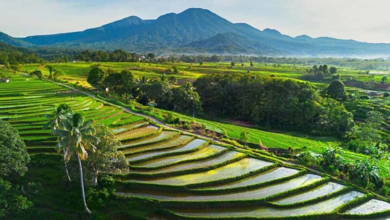 Bali: Beautiful North Bali, Temples, Waterfalls all included - A Deep Dive into the North Bali Experience