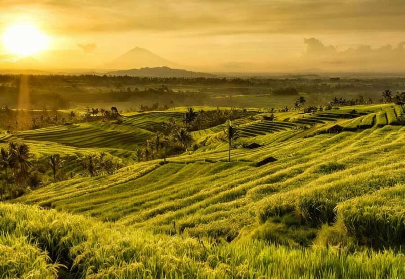 Bali: Bedugul Cultural & Nature Discovery Full Day Tour - Exploring Bali’s Highlands: Bedugul Cultural & Nature Discovery Full Day Tour