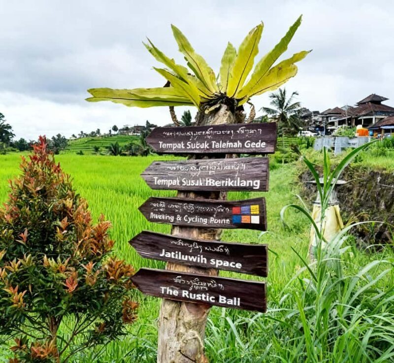 Bali: Bedugul Cultural & Nature Discovery Full Day Tour - What Makes This Tour Stand Out?