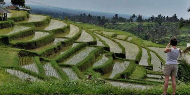 bali-bedugul-jatiluwih-taman-ayun-tanah-lot-private-tour