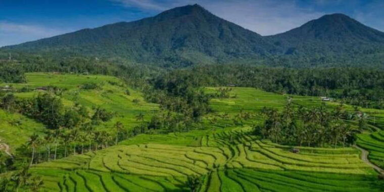 bali-bedugul-jatiluwih-taman-ayun-tanah-lot-private-tour