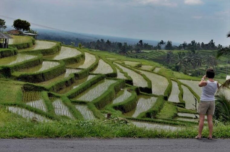 bali-bedugul-jatiluwih-taman-ayun-tanah-lot-private-tour