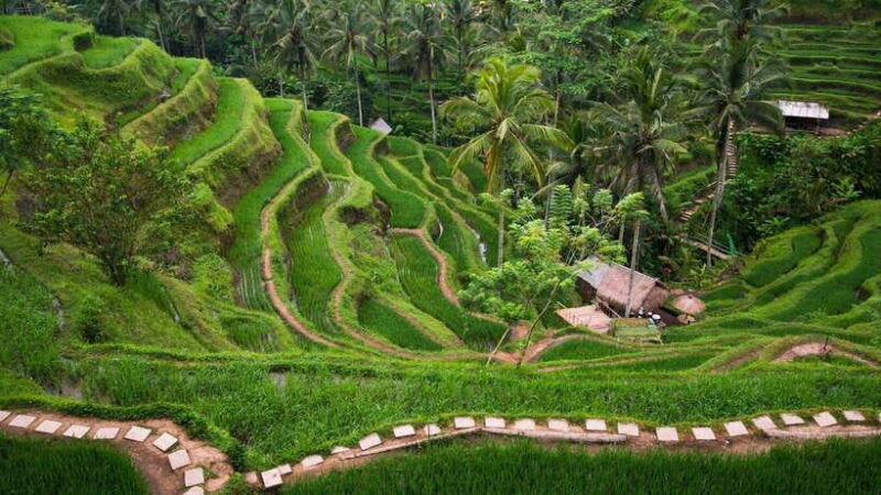 bali-bedugul-private-tour-with-driver-guide