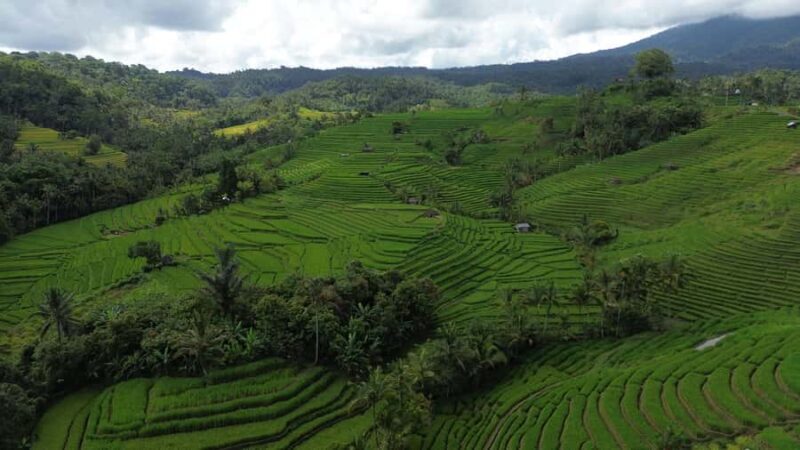 Bali: Belimbing Village Trek with Waterfall & Temple Visit - Exploring Bali’s Belimbing Village Trek with Waterfall & Temple Visit