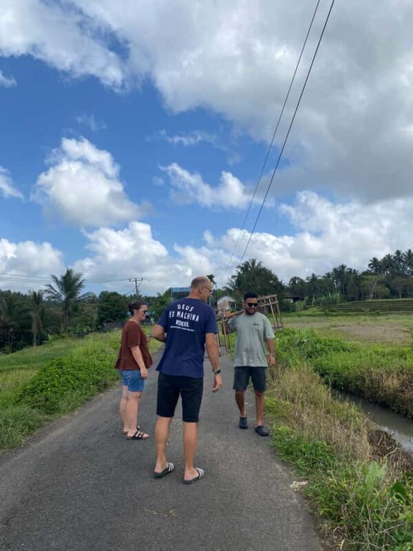 Bali: Belimbing Village Trek with Waterfall & Temple Visit - The Terrain and Physical Demands