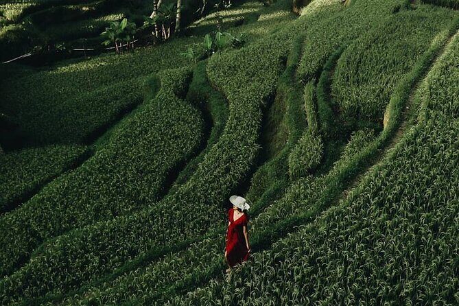 Bali Benoa Shore Excursion from Benoa Port - All Inclusive - Key Points