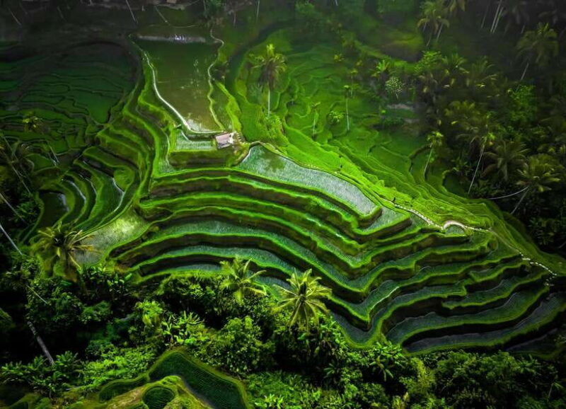 bali-besakih-great-temple-tour-with-waterfal-rice-terrace