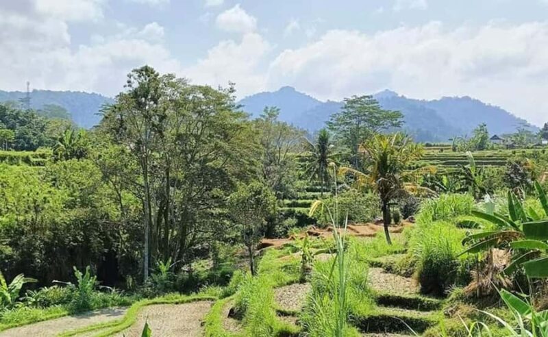 Bali: Besakih Temple and Sidemen Tour - What to Expect from the Day