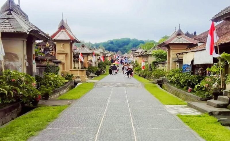 Bali: Besakih Temple and Sidemen Tour - The Value for Money