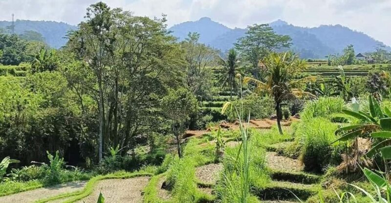 Bali: Besakih Temple and Sidemen Tour - Final Word