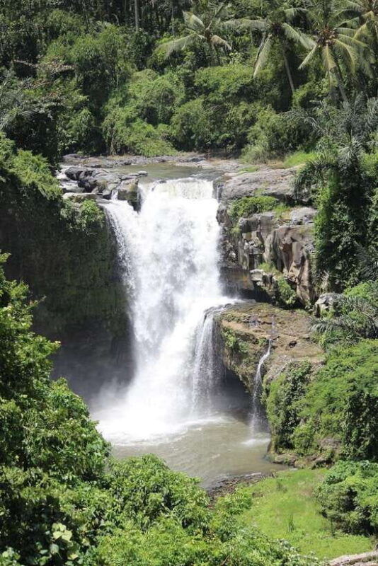 bali-best-of-private-ubud-waterfalls-tour
