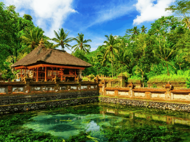 bali-best-of-ubud-forest-paddies-temple-more-private