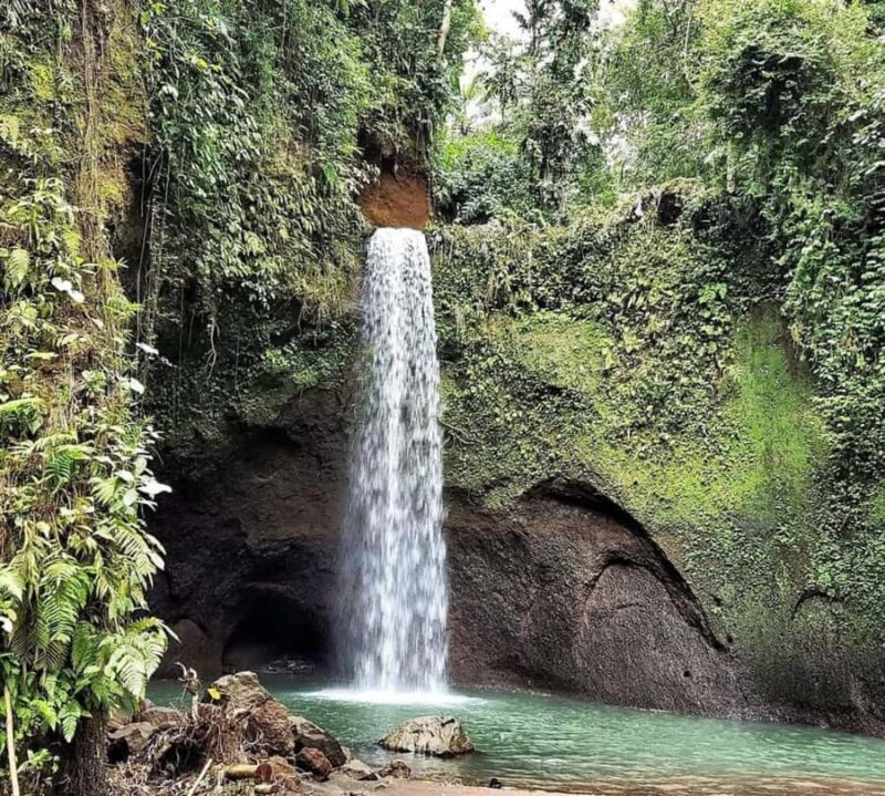 Bali: Best of Ubud Waterfalls Tour - Final Thoughts: Who Is This Tour Best For?