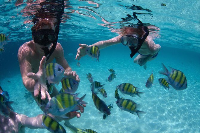 Bali Best SNORKELING at BLUE LAGOON and EAST BALI TOURS - Key Points