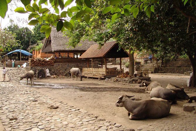 Bali Best SNORKELING at BLUE LAGOON and EAST BALI TOURS - The Itinerary Breakdown: What to Expect