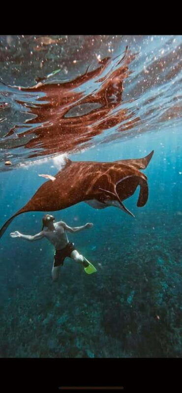 bali-best-trip-of-nusapenida-island-in-one-day