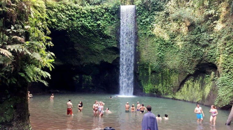 bali-best-waterfalls-rice-terrace-with-private-transfers