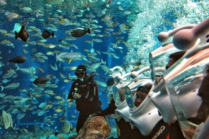 Bali Best Watersport Sea walker,Parasailing adventure,Jet sky - Why This Tour Might Be Perfect for You