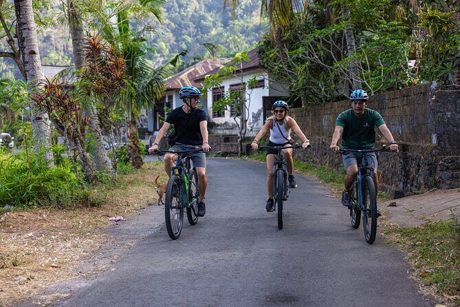 Bali Bike Tour Ubud Area - Key Points