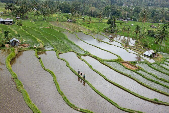 Bali Bike Tour Ubud Area - The Value for Your Money