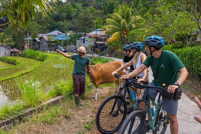 Bali Bike Tour Ubud Area - Who Is This Tour Best For?