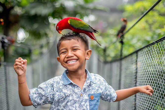 Bali Bird Park Admission Pass - What To Expect at Bali Bird Park