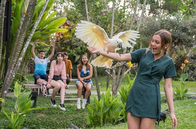 Bali Bird Park Admission Pass - FAQ