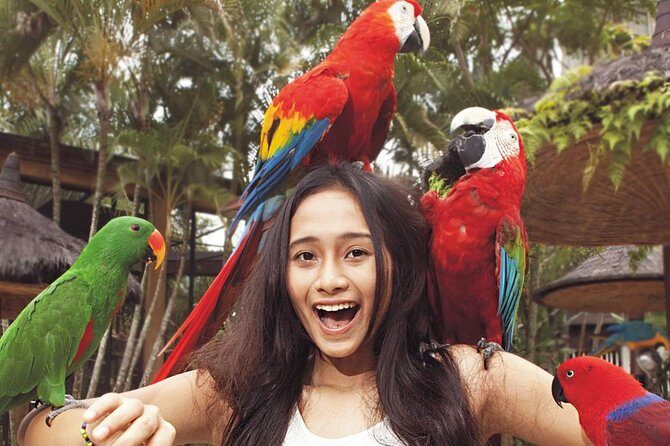 Bali Bird Park Entrance Tickets - An In-Depth Look at Bali Bird Park