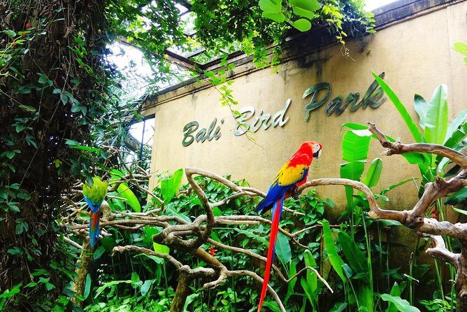 Bali Bird Park Entrance Tickets - FAQs