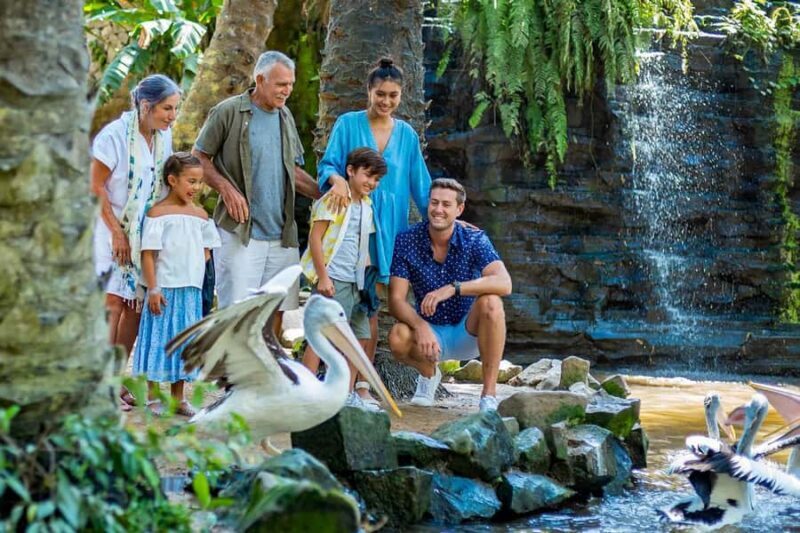 Bali Bird Park & Pirate Dinner Cruise the Unique Adventure - The Highlight: The Pirate Dinner Cruise