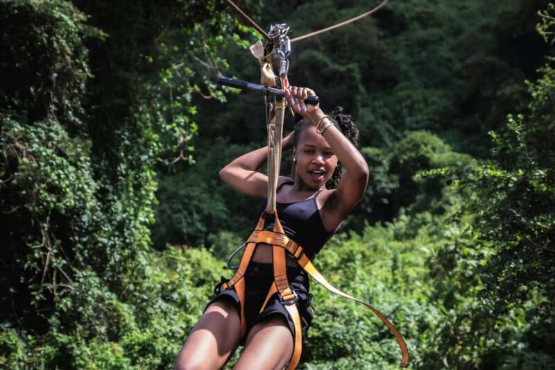 Bali: Bird-Watching Walk & Jungle Zipline Adventure - An In-Depth Look at the Experience