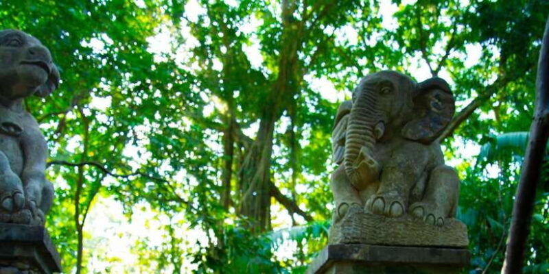 bali-bliss-tropical-escape-cultural-wonders-tour