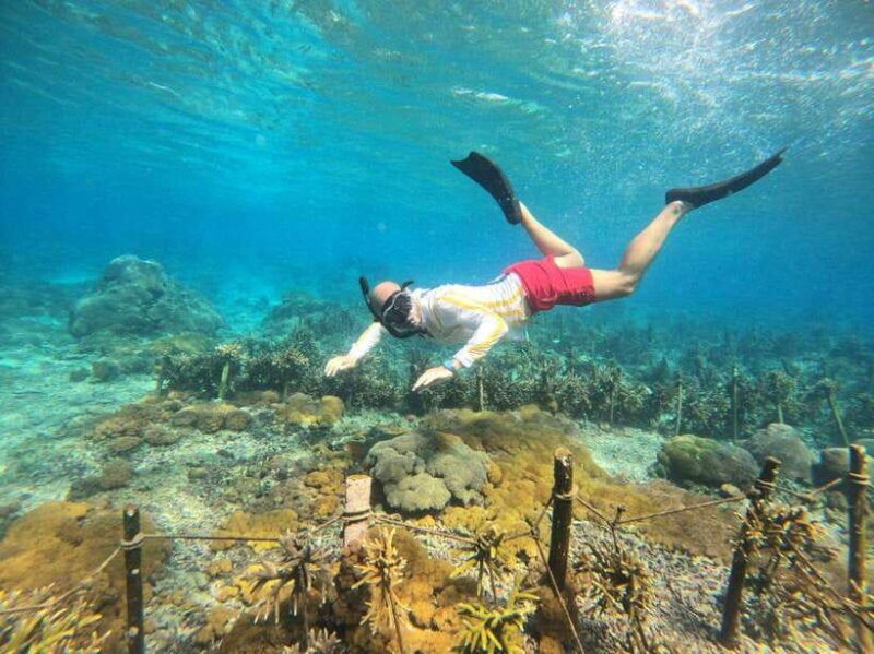 bali-blue-lagoon-and-tanjung-jepun-snorkeling-tour