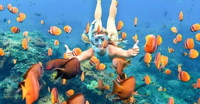 bali-blue-lagoon-beach-snorkeling-tour-with-lunch