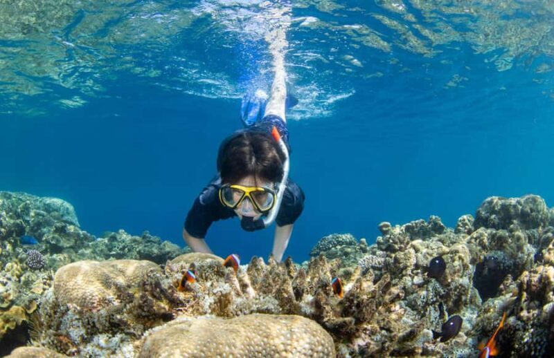 Bali Blue Lagoon Snorkeling and Waterfall Tour - What Sets This Tour Apart