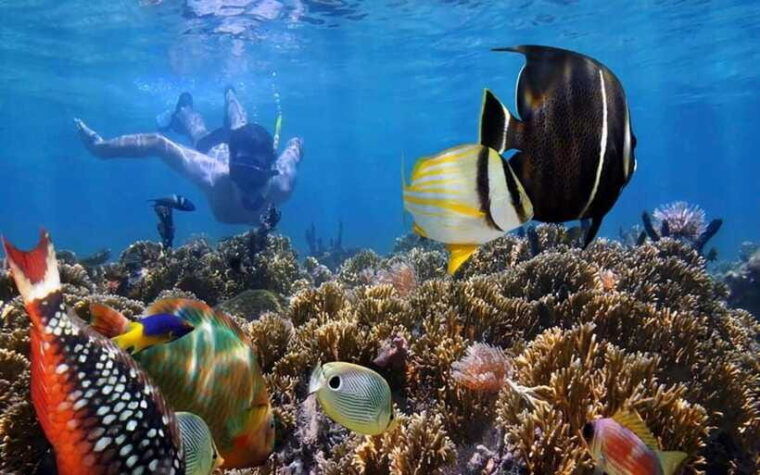 bali-blue-lagoon-snorkeling-tour-2