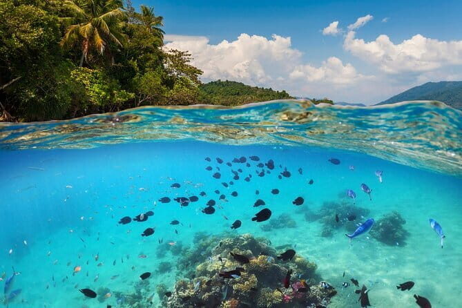 Bali Blue Lagoon Snorkeling Tour All Inclusive - A Detailed Look into the Bali Blue Lagoon Snorkeling Tour