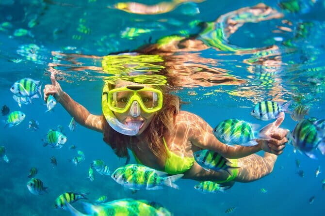 Bali Blue Lagoon Snorkeling Tour All Inclusive - Authentic Marine Encounters and Overall Experience