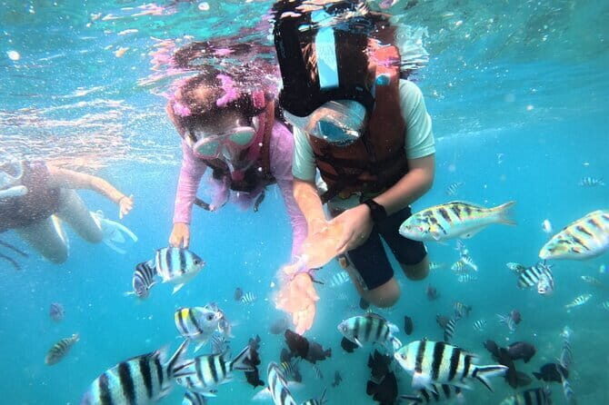 Bali Blue Lagoon Snorkeling Tour All Inclusive - FAQ