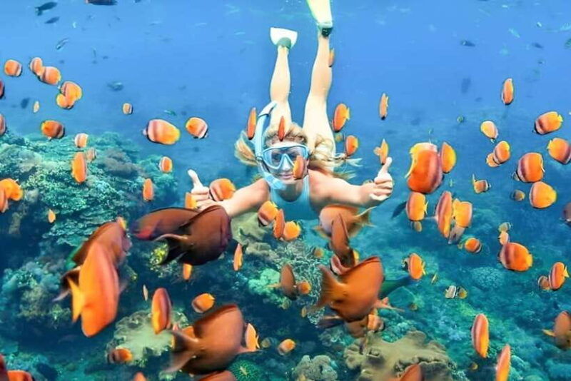 bali-blue-lagoon-snorkeling-tour-with-bali-quad-bike