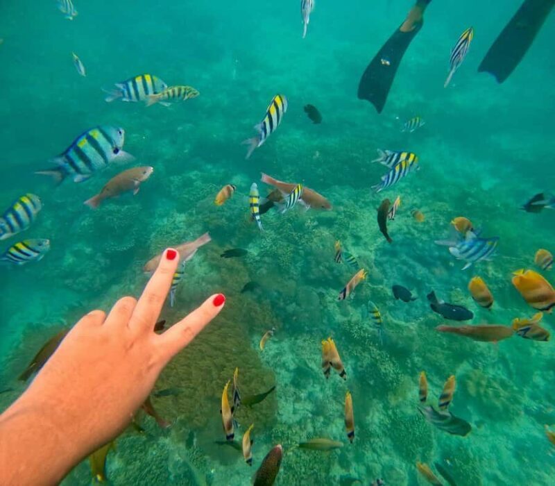 Bali: Blue Lagoon Snorkeling, Waterfall, and Temple Tour - Dive into Bali’s Underwater World