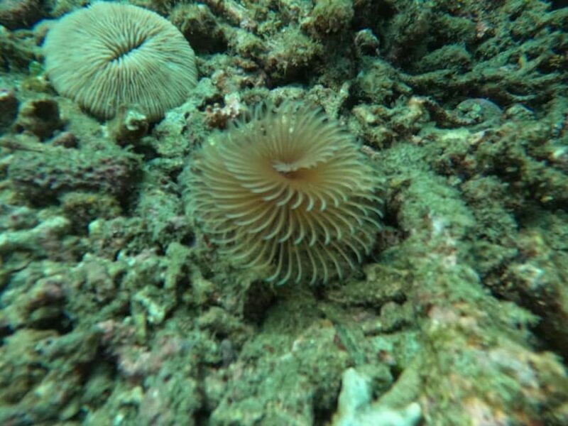 Bali: Blue Lagoon Snorkeling, Waterfall, and Temple Tour - The Sum Up: Is This Tour Right for You?