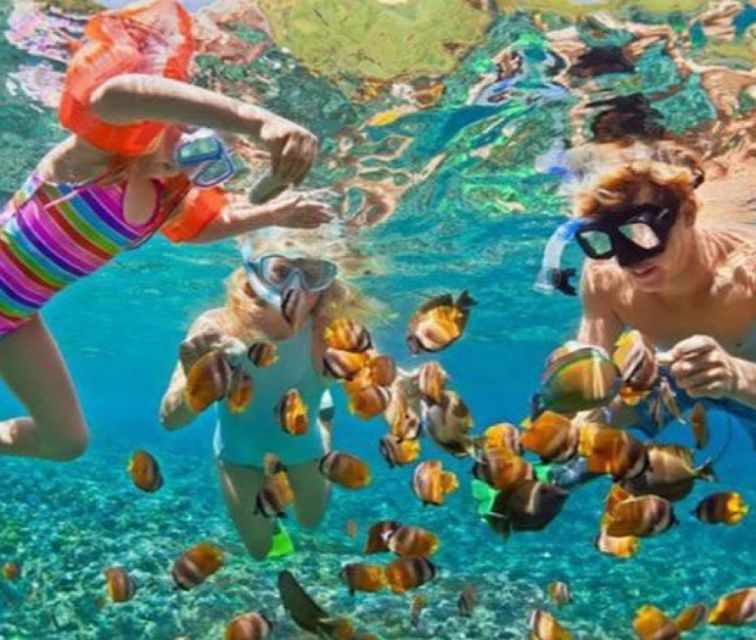 bali-blue-lagoon-snorkeling-waterfall-tour-with-lunch