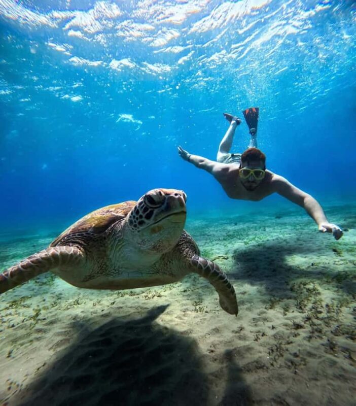 Bali: Blue Lagoon Snorkeling With GoPro Capture & Transfers - Authenticity and Real User Experiences