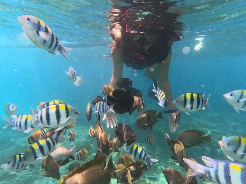 Bali: Blue Lagoon Snorkeling With GoPro Capture & Transfers - Who Should Consider Other Options?