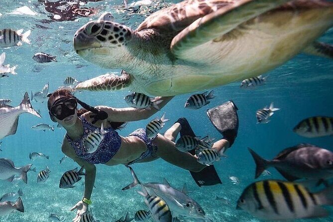 Bali Blue Lagoon Snorkeling with Optional Tours or Activities - Key Points