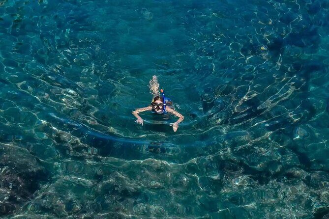 Bali Blue Lagoon Snorkeling with Private Transfer and Lunch - The Sum Up: Who is This Tour Perfect For?